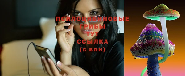 дурь Козловка