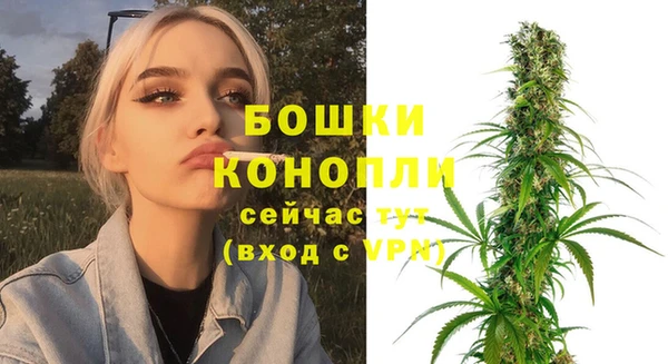 дурь Козловка