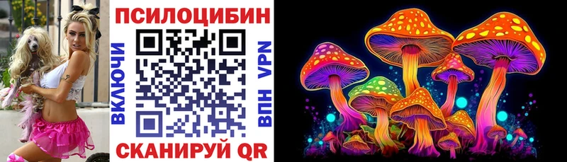 Псилоцибиновые грибы Cubensis  сколько стоит  Сосновка 